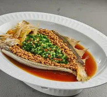 Natto Steamed Deep-Sea Rockfish