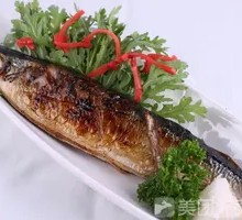Sardine