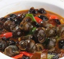 Stir-Fried Snails