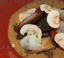 Wild Mushroom Gathering