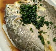 Steamed Yellow Croaker with Scallion Oil