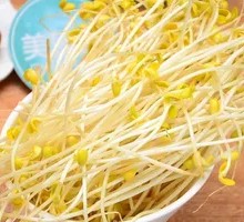 Pot-bottom Bean Sprouts