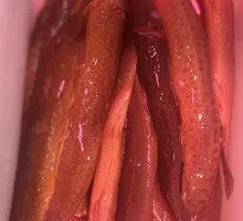 Earth Eel Stir-Fry