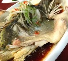 Wild Mandarin Fish