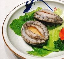 Emerald Abalone