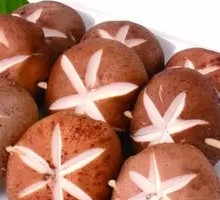 Shiitake Mushroom