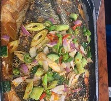 Black Fish