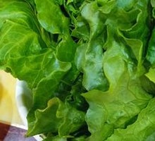 Lettuce