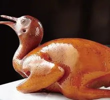 Jinyue Xuan Pigeon