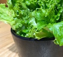 Lettuce