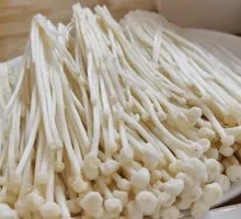 Enoki Mushroom