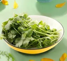 Cilantro