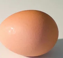 Boiled Egg