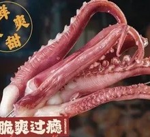 Octopus Tentacles