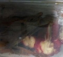 Sauce-Steamed Squab
