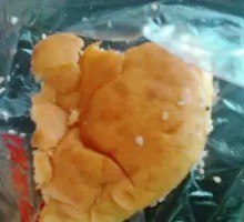 Pumpkin Pancake