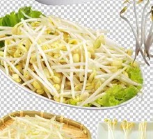 Mung Bean Sprouts