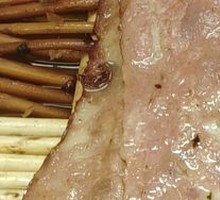 Bacon