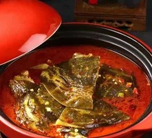 Braised Old Turtle in Red Soup