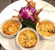 Little Dragon Health Bowl