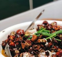 Oyster Squid