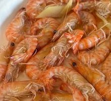 Giant Tiger Prawn