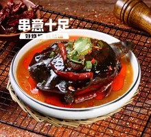 Spicy Softshell Turtle
