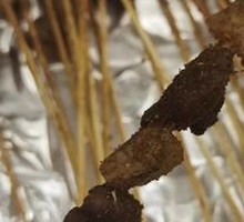 Grilled Lamb Skewers