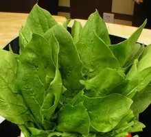 Spinach