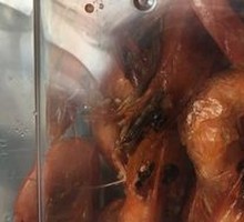Stir-Fried Shrimp in Oil