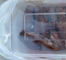 Ancient Method Five-Sauce Goose King