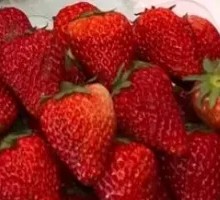 Ruby Strawberry