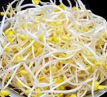 Mung Bean Sprouts
