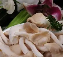 Chicken Bones