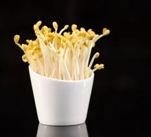 Mung Bean Sprouts