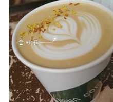Meeting with Osmanthus