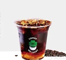 Osmanthus Americano