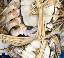 Female Crab