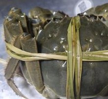 Freshwater Crab