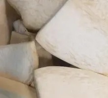 Almond Mushroom