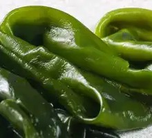 Sea lettuce