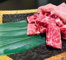 Grade 22 Premium Beef Short Rib