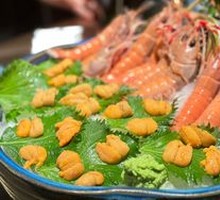 Sea Urchin