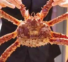 Live King Crab