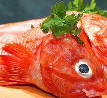 Hokkaido Golden Eye Fish