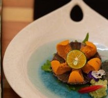 Live Sea Urchin