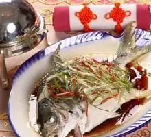 Spanish Mackerel