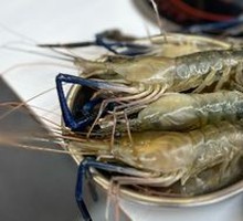 Luo's Shrimp
