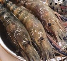 Prawn