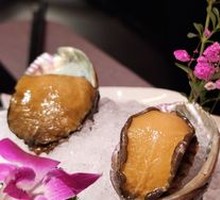Fresh 6-Head Abalone